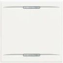 Bticino Axolute bedieningselement 2f 2 modules aan / uit tweedelige wip wit RAL 9003 BTHD4911M2