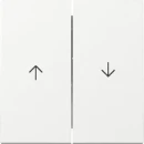 Gira Wip 2-v pijl System 55 z.wit