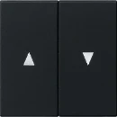Gira System 55 Bedieningselement tweedelige wip zwart 0294005