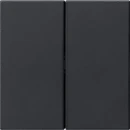 Gira System 55 s3000 bedieningselement 2-voudig Mat zwart 5362005