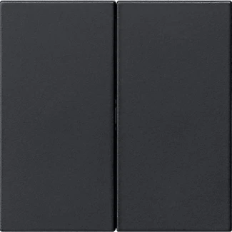 Gira System 55 s3000 bedieningselement 2-voudig Mat zwart 5362005