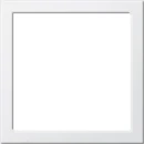 Gira System 55 Montageraam wit RAL 9010 264803