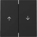 Gira Wip 2-v pijl System 55 zwart m