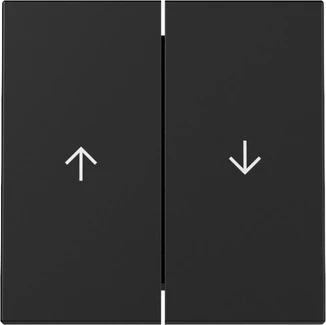 Gira Wip 2-v pijl System 55 zwart m