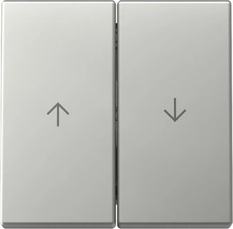 Gira Wip 2-v pijl System 55 edelstaal