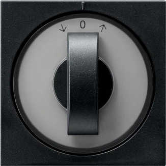 Gira System 55 Afdekking draaiknop tijdschakelaar knevelgreep zwart 0666005