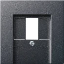 Gira System 55 Afdekking USB TAE Centraalplaat Zonder label antraciet 027628
