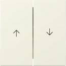 Gira Wip 2-v pijl System 55 cr.wit