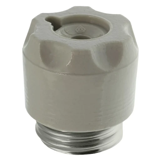 Eaton SCHROEFKOP D-ZEKERING 63 A AC 500 V E33/DIII IEC