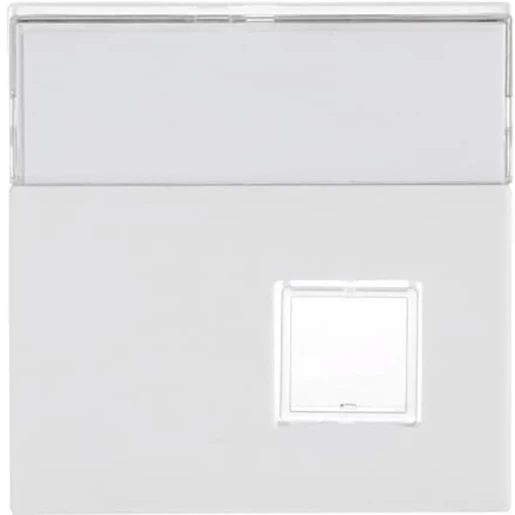 ABB Busch-Jaeger Future Solo Axcent Carat Infoli infoline centraalplaat impulsdrukker aan / uit enkele drukker wit RAL 9016 2CKA001582A0346