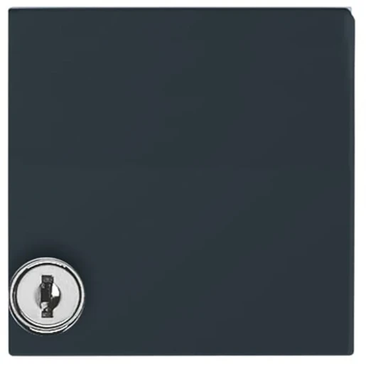 ABB Busch-Jaeger Centraalplaat + slot verloop SI IP44 70x70x32mm klapdeksel antraciet RAL 7021 2CKA001710A1977