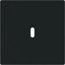 ABB Busch-Jaeger CPL USB-C 65W voeding f-matzwart