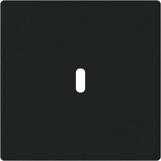 ABB Busch-Jaeger CPL USB-C 65W voeding f-matzwart