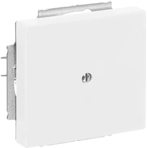 ABB Busch-Jaeger Future Axcent Centraalplaat blind wit RAL 9016 2CKA001710A3873