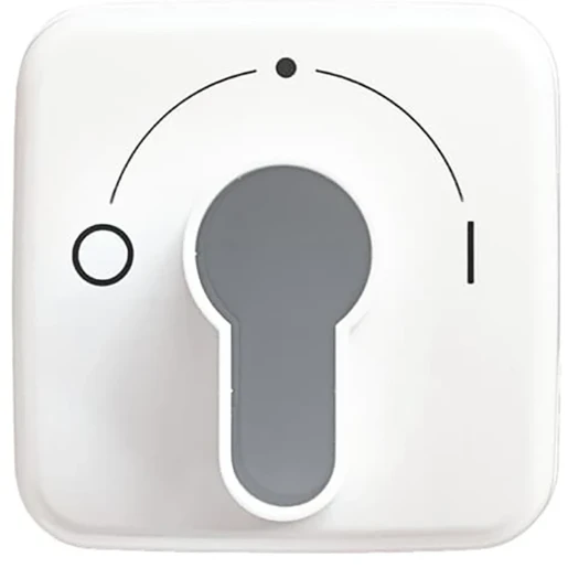 ABB Busch-Jaeger Reflex SI centraalplaat slot 2733usl-101 aan / uit sleutel wit RAL 9010 2CKA001710A1456