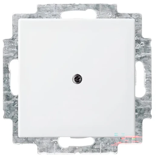 ABB Busch-Jaeger Balance Centraalplaat met draagarm SI-B wit RAL 9010 2CKA001715A0319