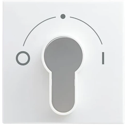 ABB Busch-Jaeger Balance centraalplaat slot 2733 usl-101 si-b aan / uit sleutel wit RAL 9010 2CKA001710A4070