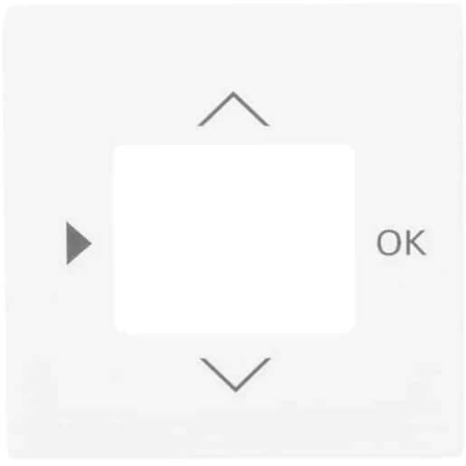 ABB Busch-Jaeger Future Centraalplaat timer 6455-56 1098U(F) centraalplaat wit RAL 9016 2CKA006430A0388