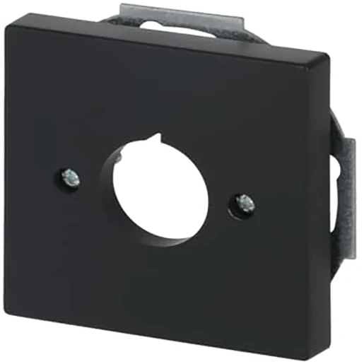 ABB Busch-Jaeger Future centraalplaat boring zwart RAL 9005 2CKA001724A4301