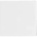 ABB Busch-Jaeger Future Solo Axcent Carat bedieningselement aan / uit enkele wip wit RAL 9016 2CKA001751A2749