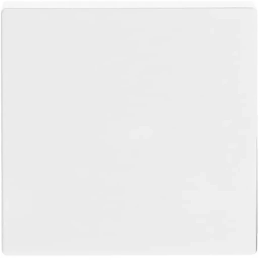 ABB Busch-Jaeger Future Solo Axcent Carat bedieningselement aan / uit enkele wip wit RAL 9016 2CKA001751A2749