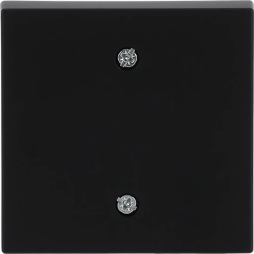 ABB Busch-Jaeger Future Axcent Carat centraalplaat aan / uit trekkoord zwart RAL 9005 2CKA001753A0314