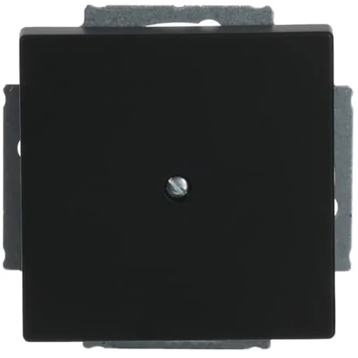 ABB Busch-Jaeger Future Axcent Carat Centraalplaat blind zwart RAL 9005 2CKA001710A3895