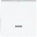 ABB Busch-Jaeger Future Solo Axcent Carat Toets seriedimmer 6565U tiptoets wit RAL 9016 2CKA006599A2908