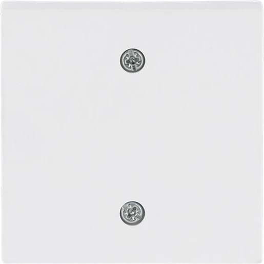 ABB Busch-Jaeger Future Axcent centraalplaat 2610/6u aan / uit trekkoord wit RAL 9016 2CKA001753A0313