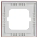 ABB Busch-Jaeger Axcent pur Afdekraam koraal 1-voudig Horizontaal en verticaal Roze IP20 2CKA001754A4765