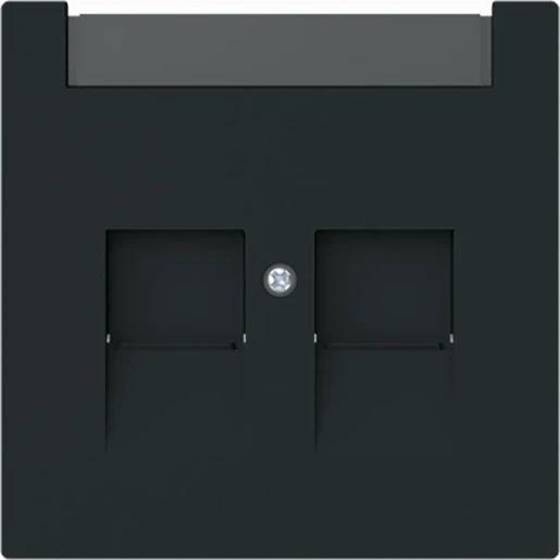 ABB Busch-Jaeger Art linear Centraalplaat schuifjes Modular-Jack 2 connectoren zwart 2CKA001710A4238