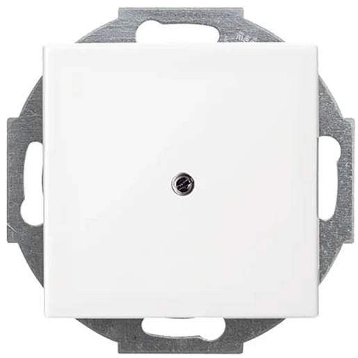 ABB Busch-Jaeger Balance centraalplaat 1x uit boring Snoerkap Basiselement met centrale afdekplaat Zonder label wit 2CKA001710A4061
