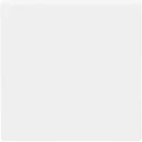 ABB Busch-Jaeger F@home bedieningswip aan / uit enkele wip wit RAL 9016 2CKA006220A0481