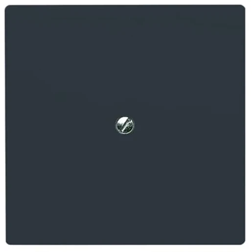 ABB Busch-Jaeger Centraalplaat blind met draagraam antraciet RAL 7021 2CKA001710A1928