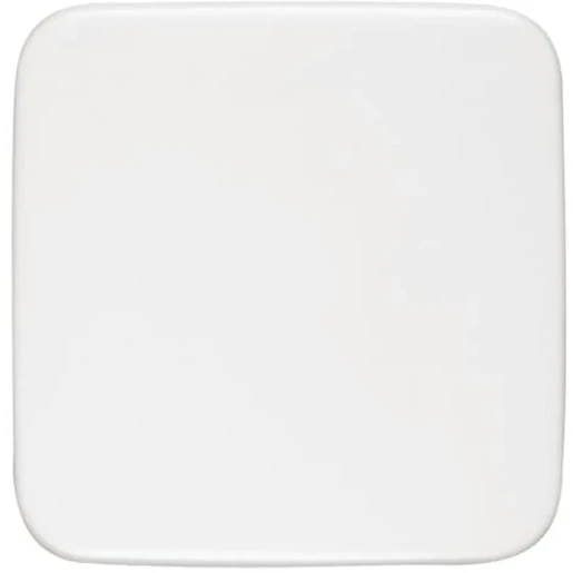 ABB Busch-Jaeger Reflex SI Infoline Infoline centraalplaat blind wit RAL 9010 2CKA001582A0354