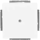 ABB Busch-Jaeger Future Axcent Centraalplaat blind wit RAL 9016 2CKA001710A3873