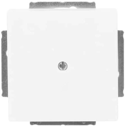 ABB Busch-Jaeger Future Axcent Centraalplaat blind wit RAL 9016 2CKA001710A3873