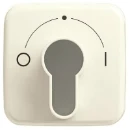ABB Busch-Jaeger SI centraalplaat slot 2733usl-101 aan / uit sleutel wit RAL 1013 2CKA001710A1340
