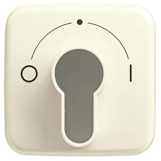 ABB Busch-Jaeger SI centraalplaat slot 2733usl-101 aan / uit sleutel wit RAL 1013 2CKA001710A1340