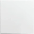 ABB Busch-Jaeger Balance Infoline centraalplaat 1561u si-b wit RAL 9010 2CKA001582A0401