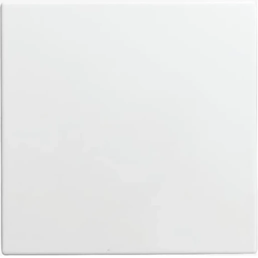 ABB Busch-Jaeger Balance Infoline centraalplaat 1561u si-b wit RAL 9010 2CKA001582A0401