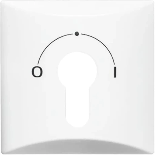 ABB Busch-Jaeger centraalplaat slot 2733usl aan / uit sleutel wit RAL 9010 2CKA001710A1837