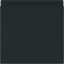 ABB Busch-Jaeger Art linear Verloopplaat met klapdeksel zwart 2CKA001719A0182