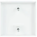 ABB Busch-Jaeger Future Solo Axcent Carat centraalplaat trekschakelaar 2610/6u aan / uit trekkoord wit RAL 9016 2CKA001753A0311