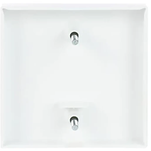 ABB Busch-Jaeger Future Solo Axcent Carat centraalplaat trekschakelaar 2610/6u aan / uit trekkoord wit RAL 9016 2CKA001753A0311