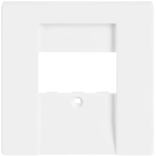 ABB Busch-Jaeger Future Solo Axcent Carat Centraalplaat TAE/USB TAE Bedieningselement Zonder label wit 2CKA001710A3162