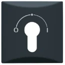 ABB Busch-Jaeger centraalplaat slot 2733usl aan / uit sleutel antraciet RAL 7021 2CKA001710A1902