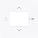 ABB Busch-Jaeger Art linear Centraalplaat timer bedieningselement centraalplaat wit RAL 9016 2CKA006430A0450