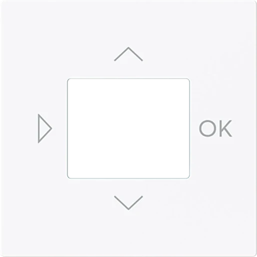 ABB Busch-Jaeger Art linear Centraalplaat timer bedieningselement centraalplaat wit RAL 9016 2CKA006430A0450