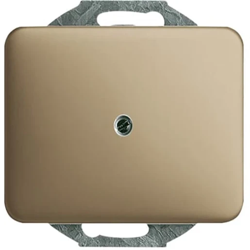 ABB Busch-Jaeger Alpha Centraalplaat blind brons 2CKA001753A1431
